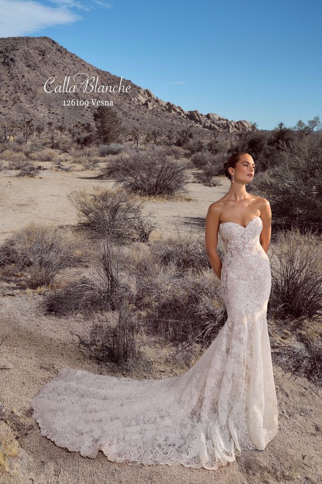 Wedding Dress Novelle Bridal Shop